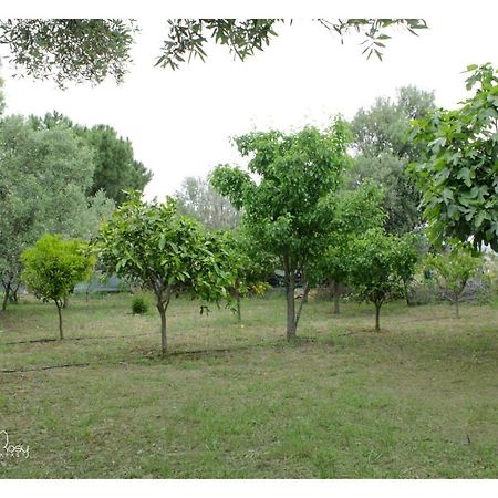 Il Giardino Di Rosy Villa Su Forti Eksteriør bilde